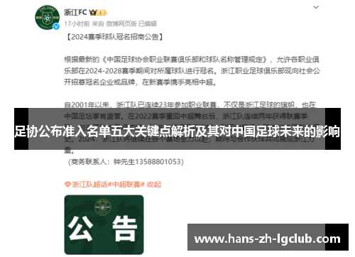 足协公布准入名单五大关键点解析及其对中国足球未来的影响